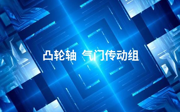 凸轮轴  气门传动组